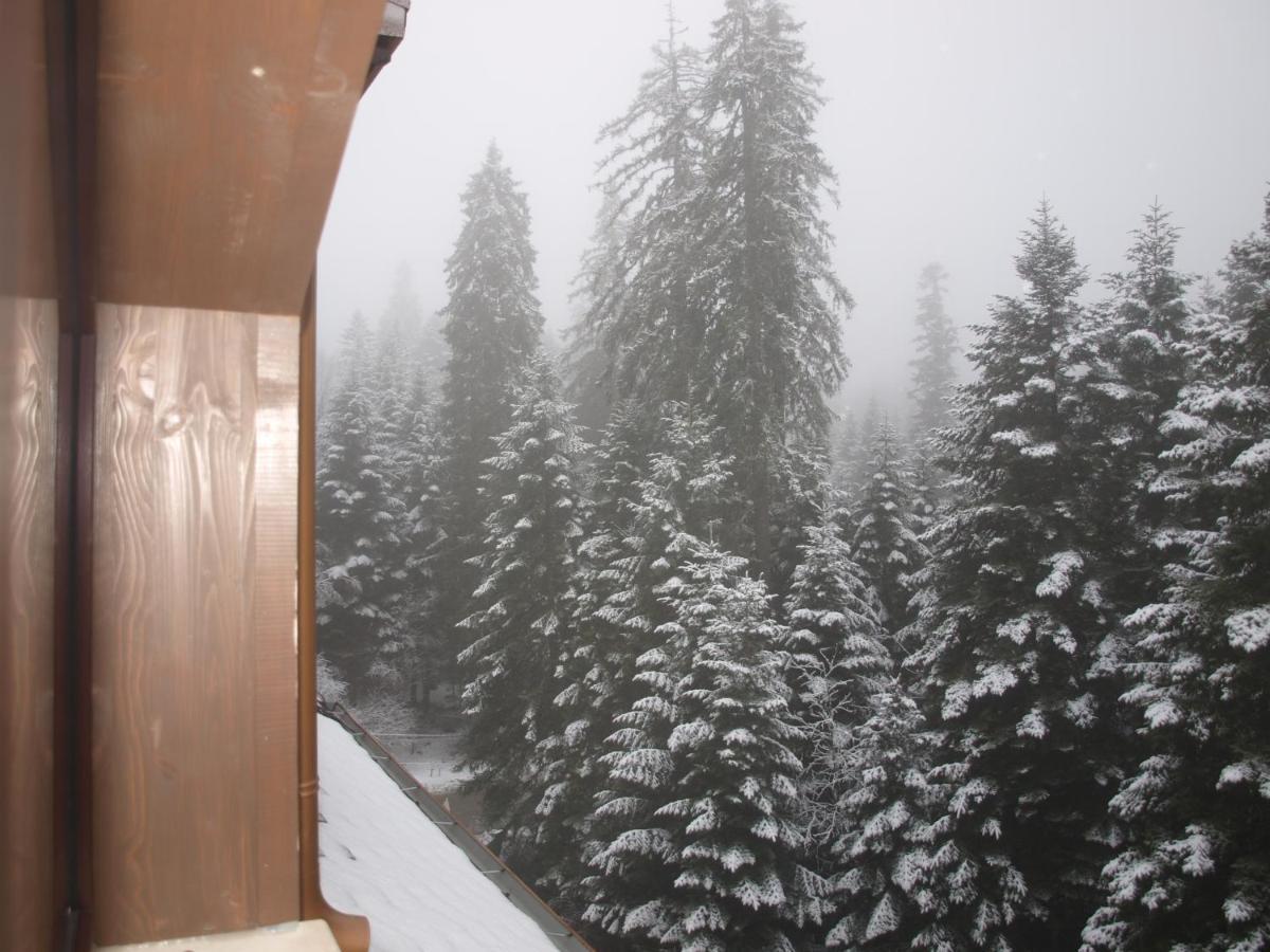 Borovets Forest View Εξωτερικό φωτογραφία