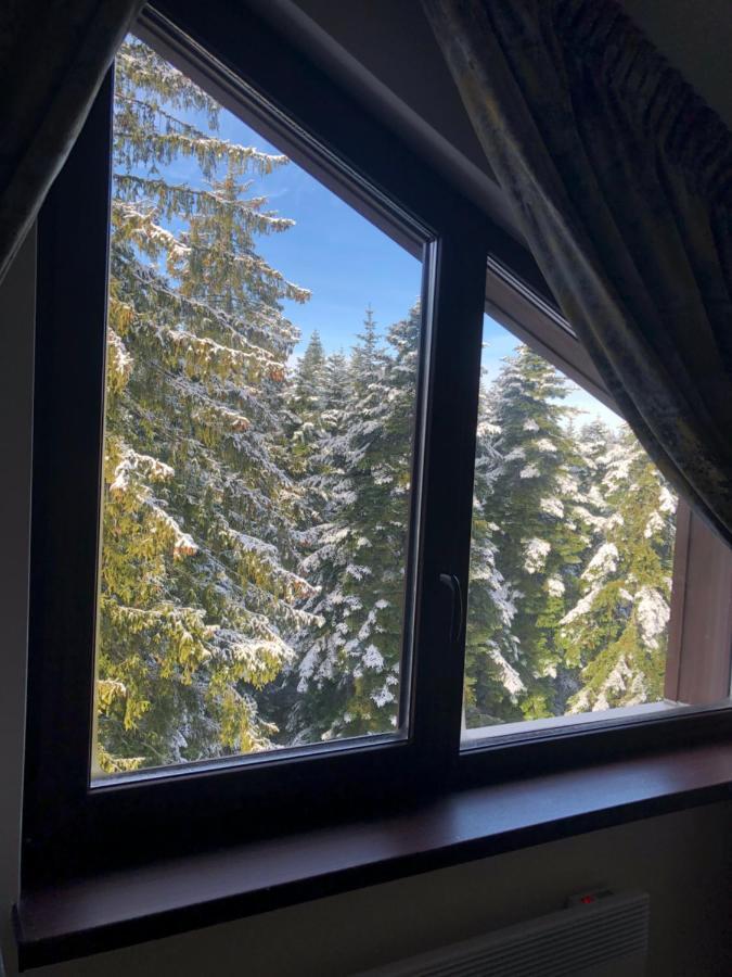 Borovets Forest View Εξωτερικό φωτογραφία