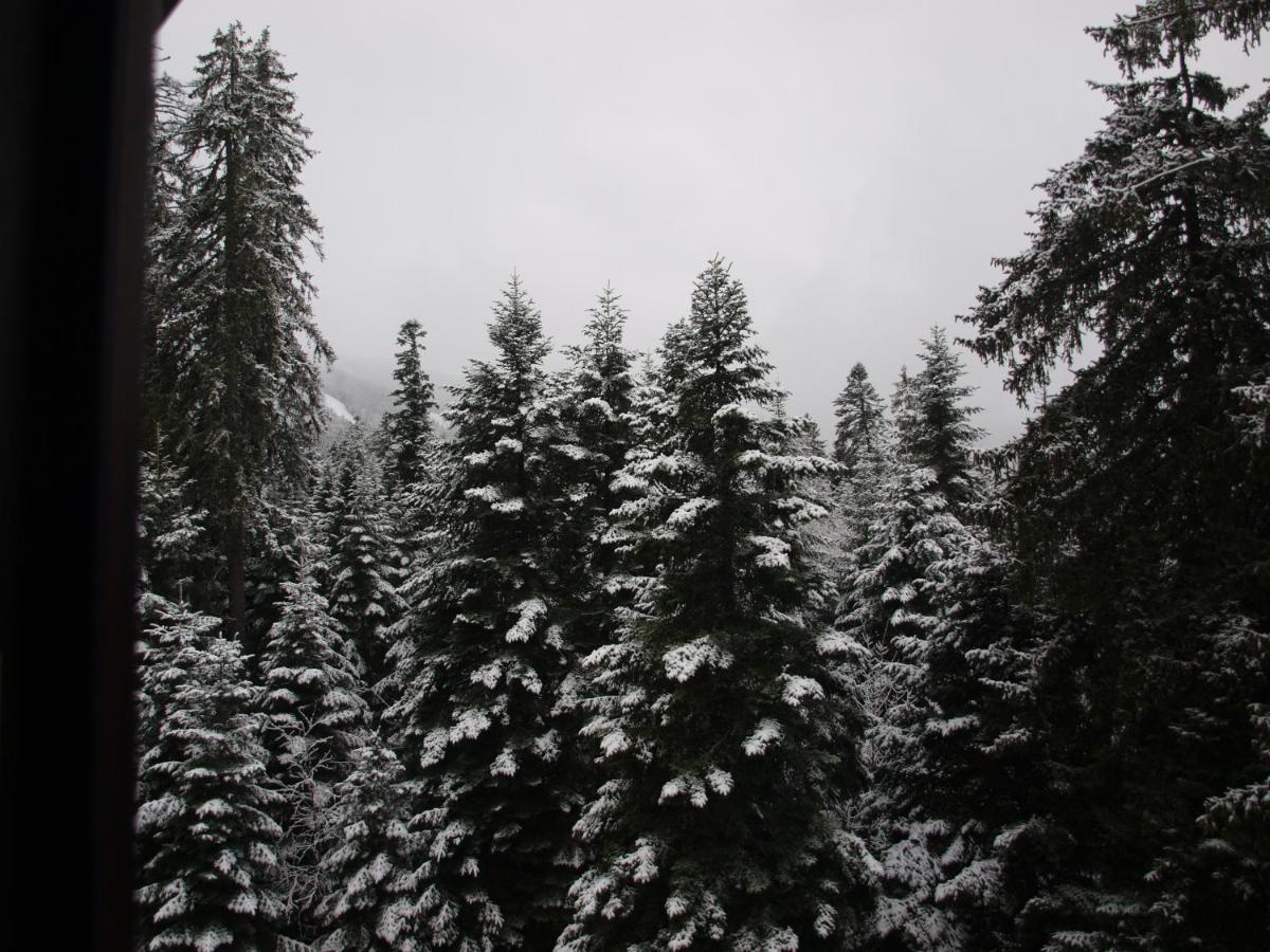 Borovets Forest View Εξωτερικό φωτογραφία