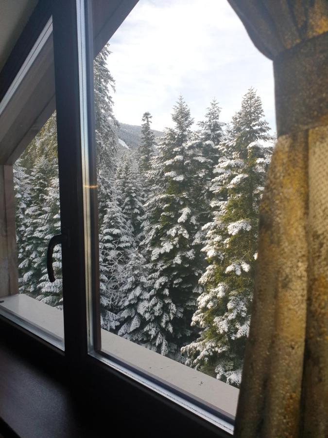 Borovets Forest View Εξωτερικό φωτογραφία